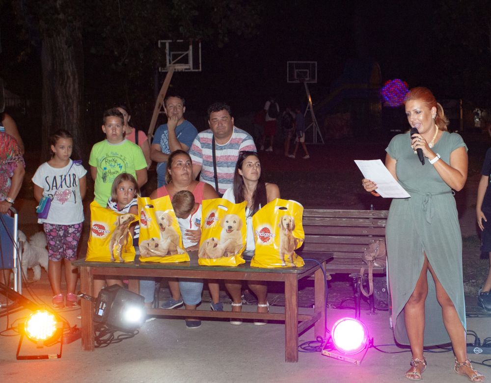 Drugi "Dog Show" na Štrand Summer Festu 27 MG 1142