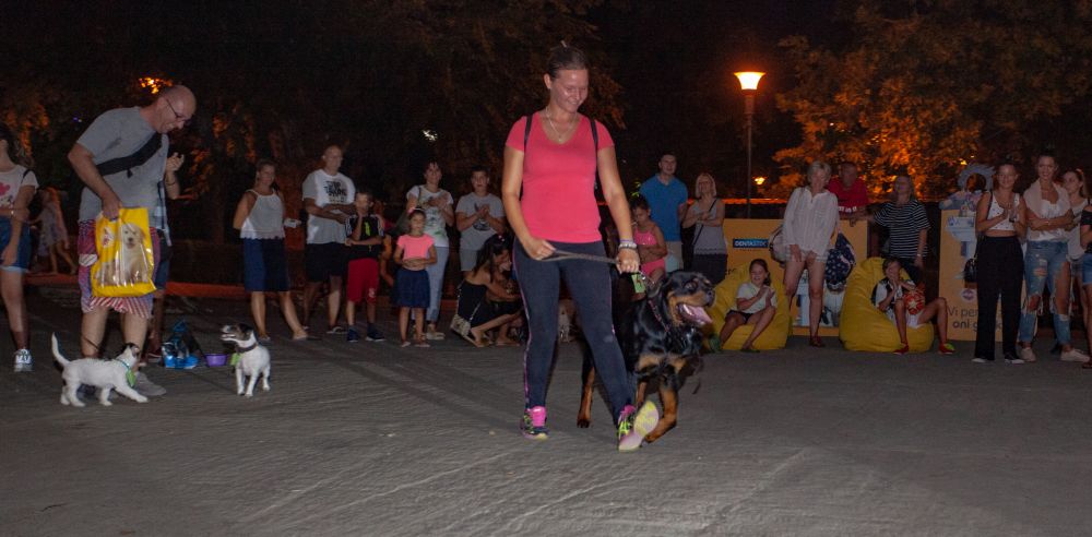Drugi "Dog Show" na Štrand Summer Festu 31 MG 1154