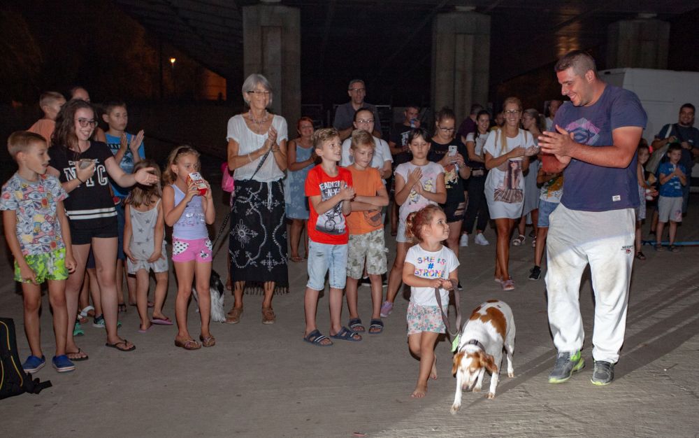 Drugi "Dog Show" na Štrand Summer Festu 30 MG 1162
