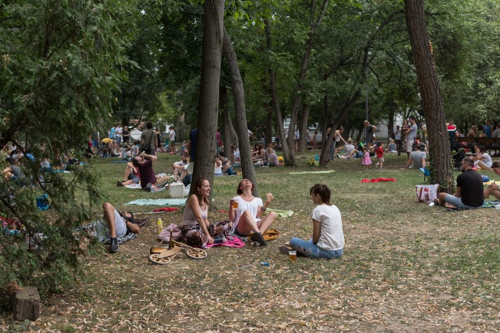 foto Aleksa Vitorovic Piknik 4