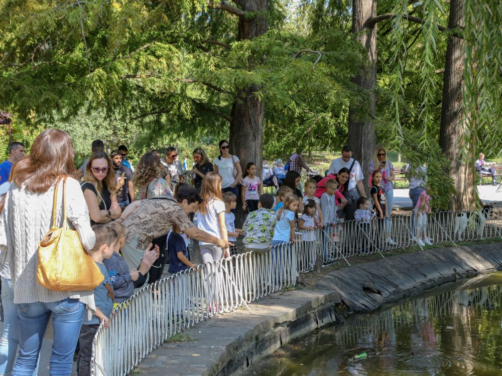 Pogledajte kako je bilo na tematskoj turi "Tajne Dunavskog parka" 7 HADR8712