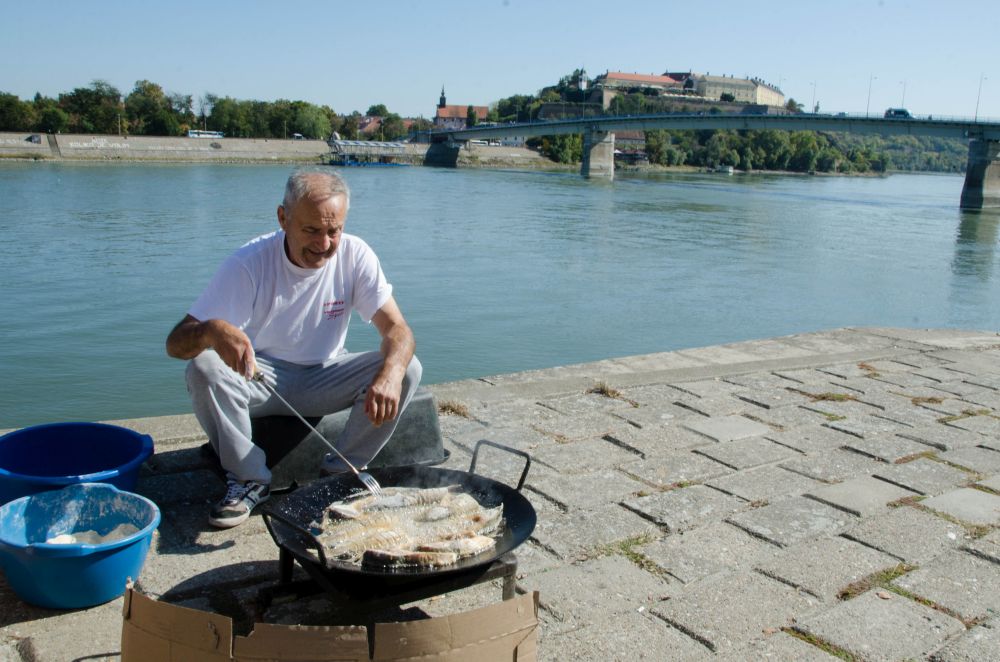 "Čarde i bande" još danas na Sunčanom keju u Novom Sadu 6 DSC 5175