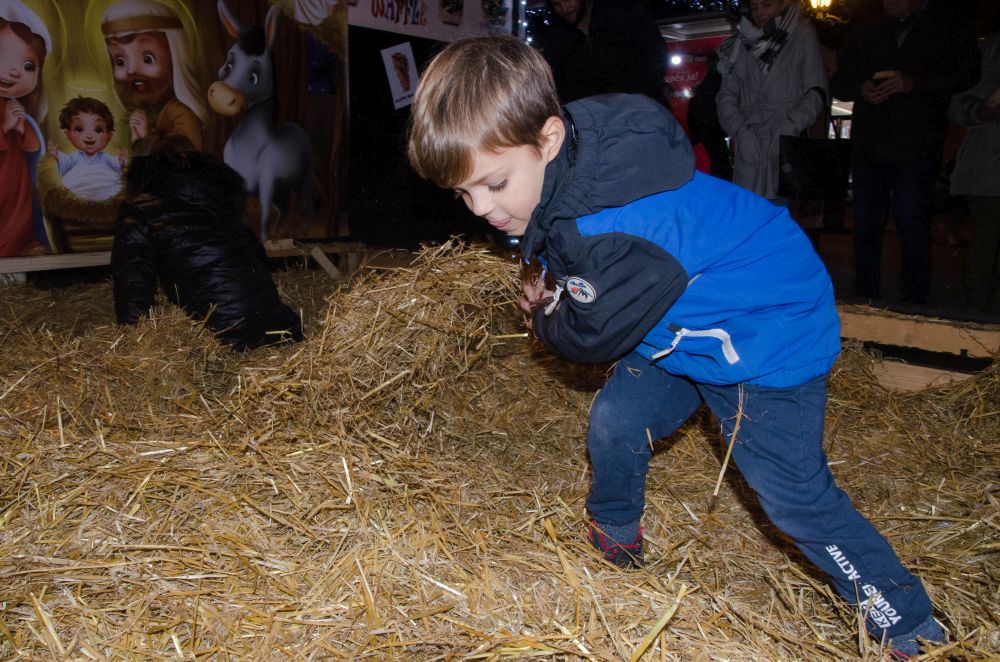 Dečiji hor "Čarobne frulice" danas na Novosadskom Winter Festu 17 DSC 1449