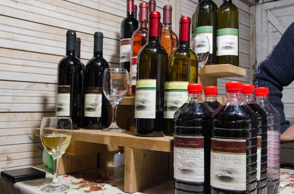 Dečiji hor "Čarobne frulice" danas na Novosadskom Winter Festu 54 DSC 1510