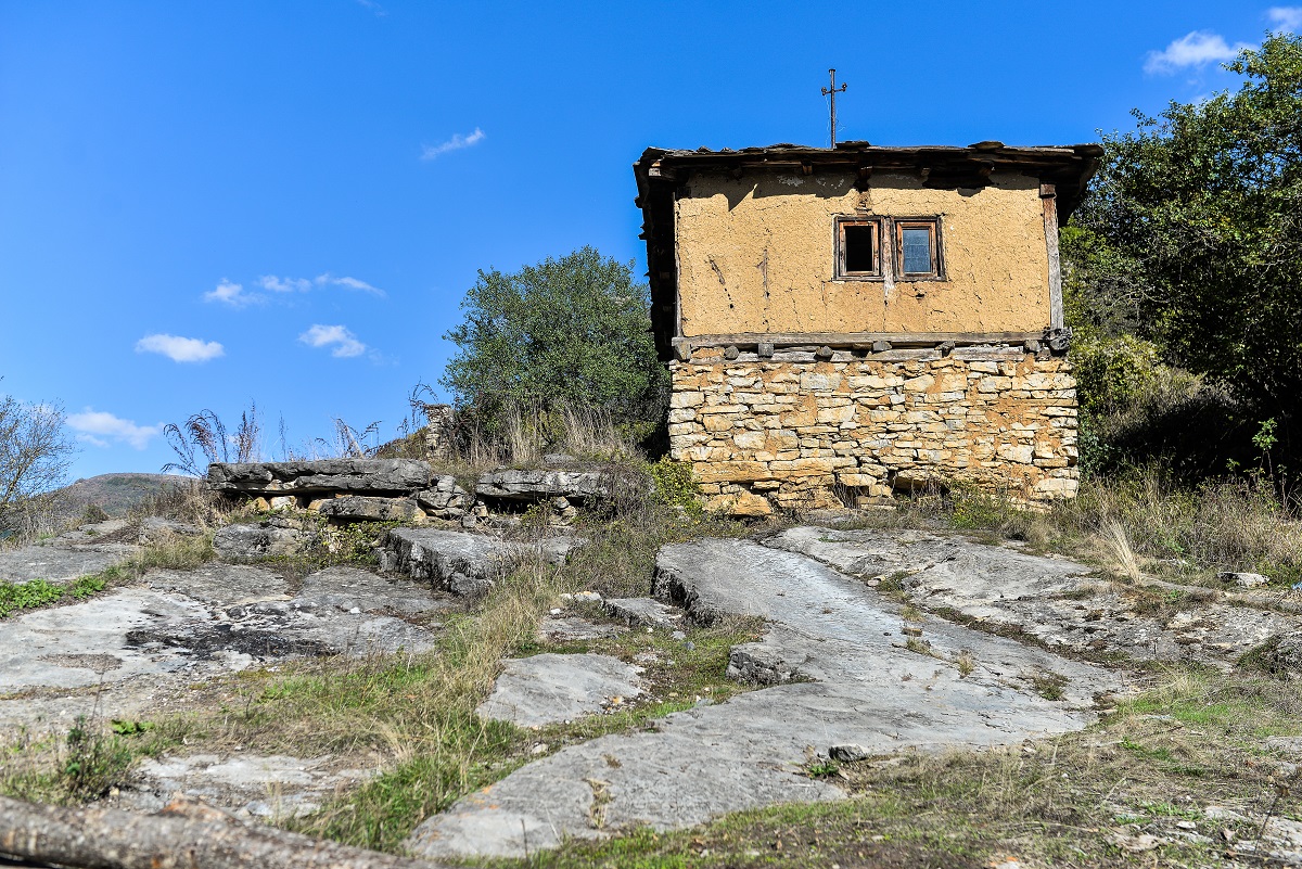 Gostuša slika 1