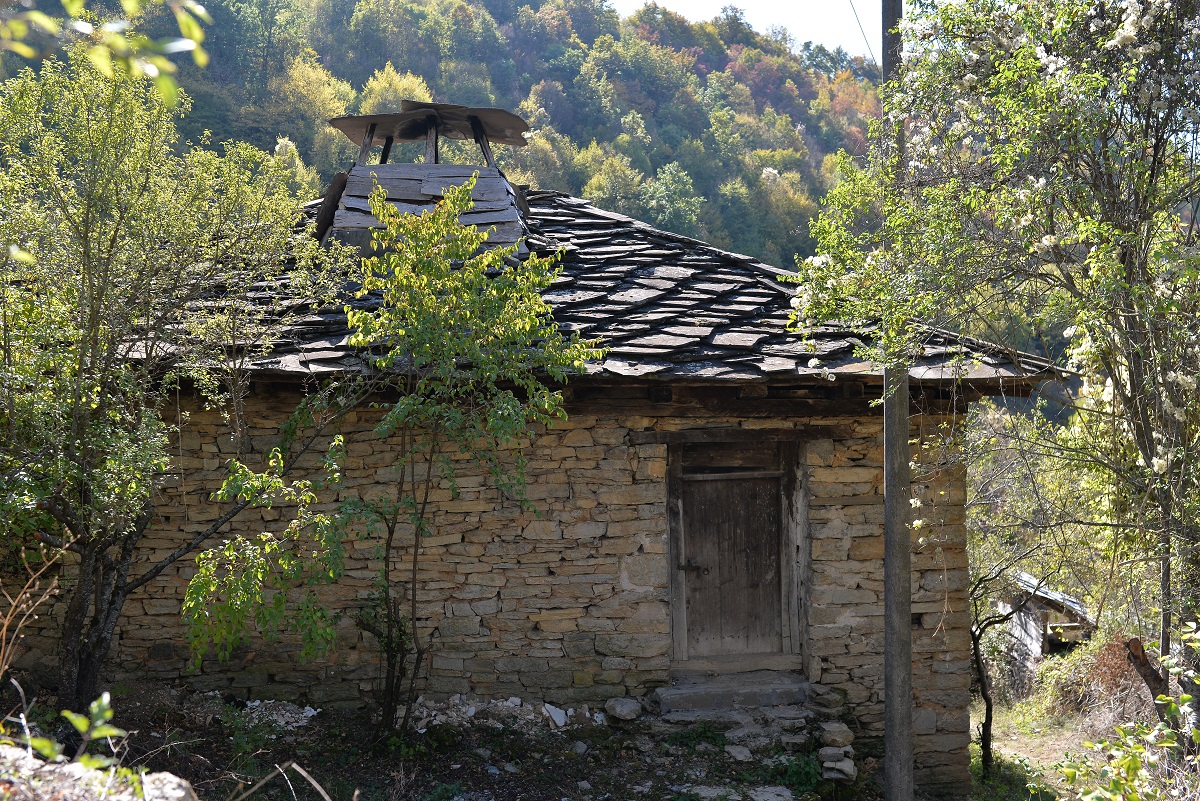 Gostuša slika 2