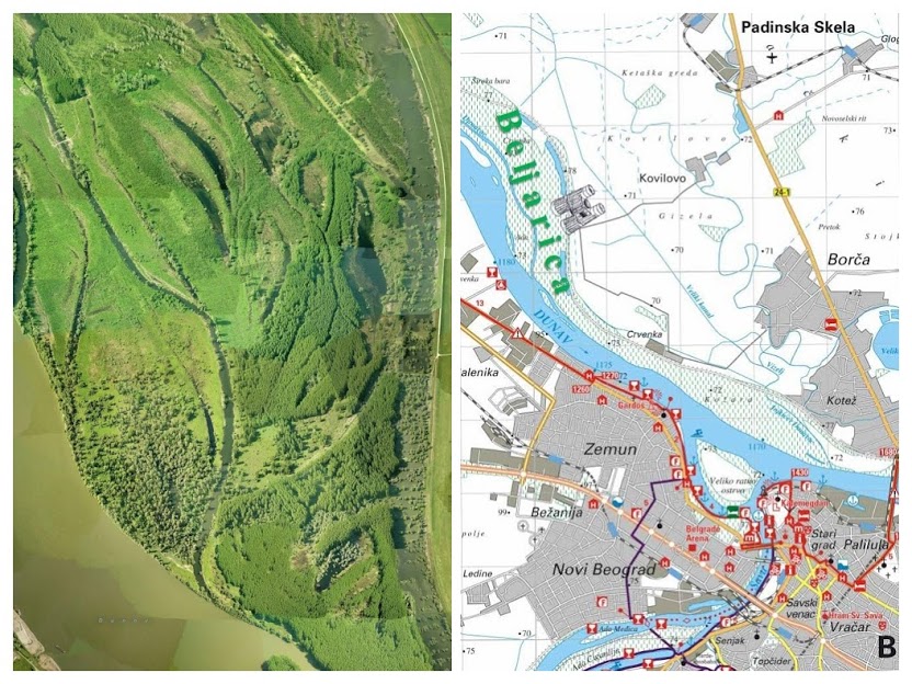 UNIŠTENJE PRETI BEOGRADSKOJ AMAZONIJI: Hoće li se u Beljarici praviti nova luka? 1 0004 COLLAGE