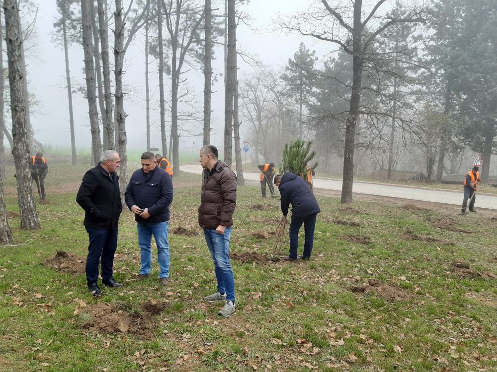 "NEDELJA ZA ZELENIJU VOJVODINU": Nastavak akcije pošumljavanja u rumskoj opštini 1 20191206 120658