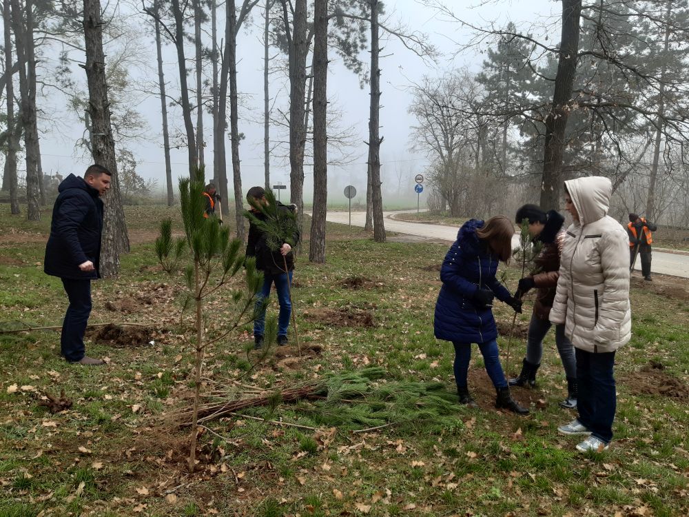 "NEDELJA ZA ZELENIJU VOJVODINU": Nastavak akcije pošumljavanja u rumskoj opštini 2 20191206 120818