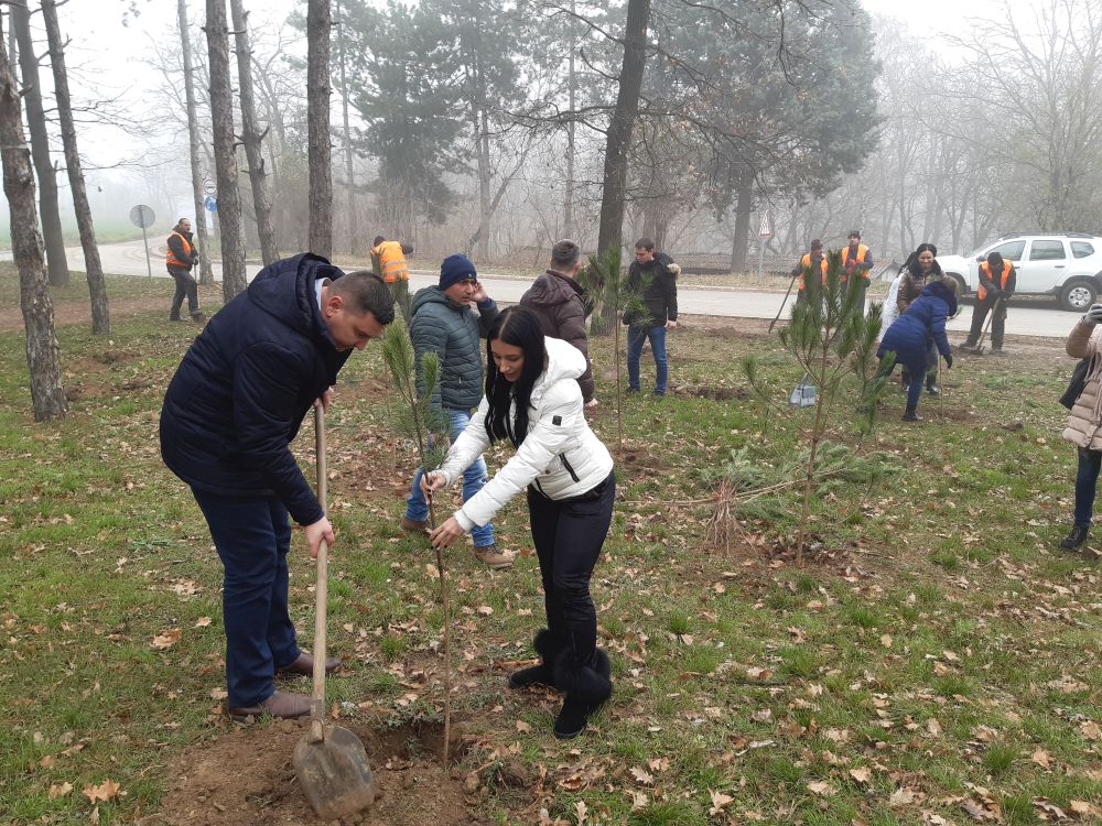 "NEDELJA ZA ZELENIJU VOJVODINU": Nastavak akcije pošumljavanja u rumskoj opštini 3 20191206 120940