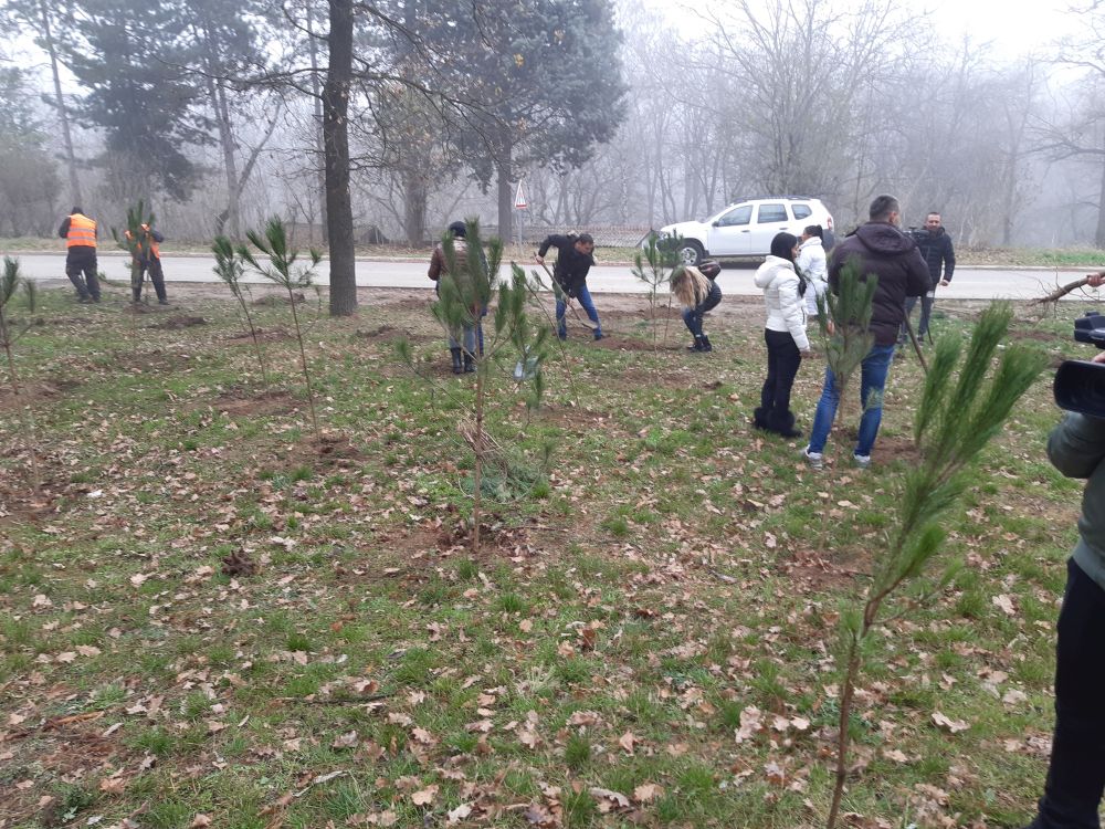 "NEDELJA ZA ZELENIJU VOJVODINU": Nastavak akcije pošumljavanja u rumskoj opštini 8 20191206 121139