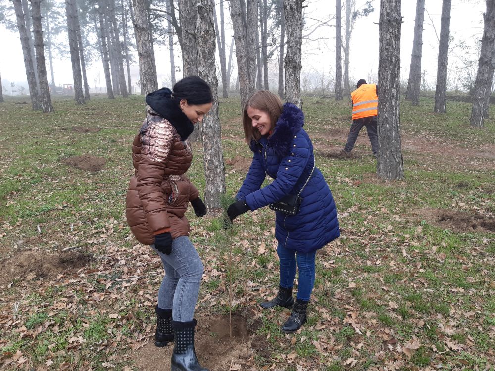 "NEDELJA ZA ZELENIJU VOJVODINU": Nastavak akcije pošumljavanja u rumskoj opštini 7 20191206 121226