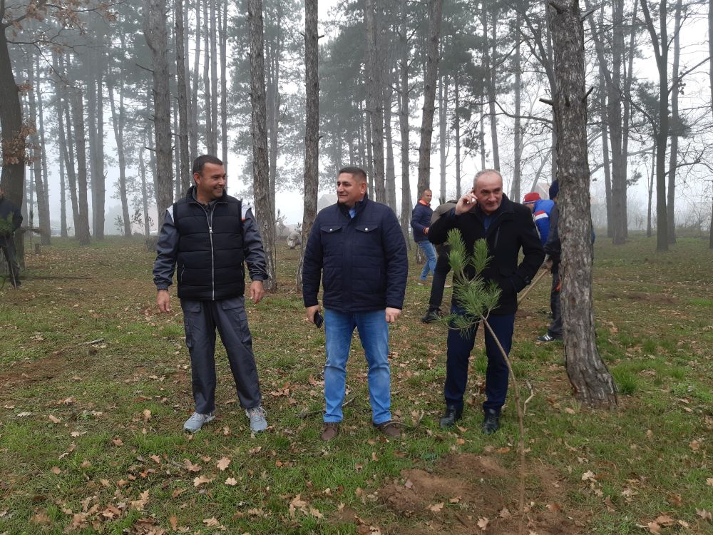 "NEDELJA ZA ZELENIJU VOJVODINU": Nastavak akcije pošumljavanja u rumskoj opštini 6 20191206 121251