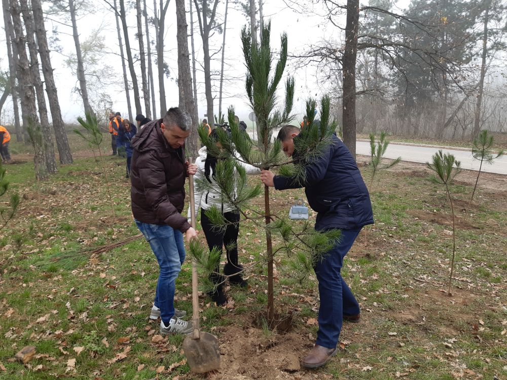 "NEDELJA ZA ZELENIJU VOJVODINU": Nastavak akcije pošumljavanja u rumskoj opštini 9 20191206 121317