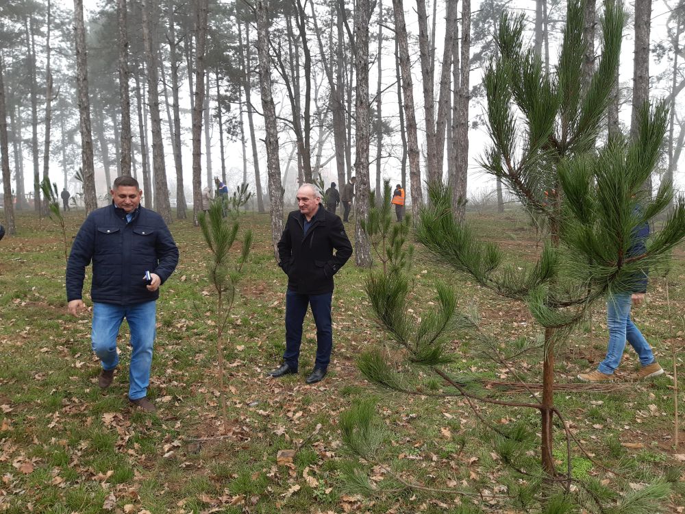 "NEDELJA ZA ZELENIJU VOJVODINU": Nastavak akcije pošumljavanja u rumskoj opštini 5 20191206 121549 001