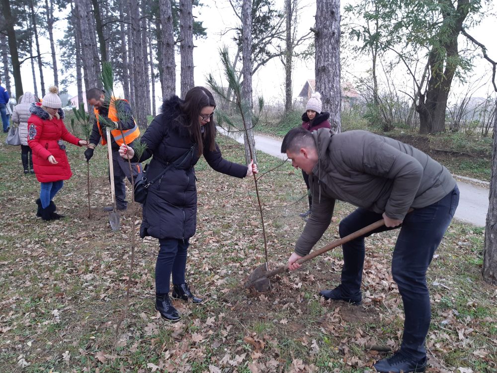 "NEDELJA ZA ZELENIJU VOJVODINU": Nastavak akcije pošumljavanja u rumskoj opštini 11 20191206 122306
