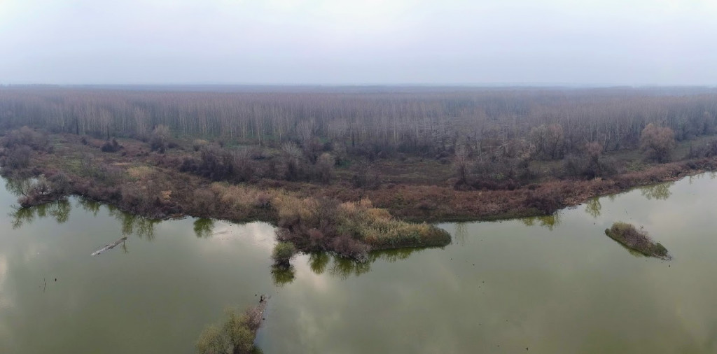 UNIŠTENJE PRETI BEOGRADSKOJ AMAZONIJI: Hoće li se u Beljarici praviti nova luka? 5 DJI 3695 Panoramac