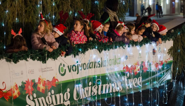 DSC 0464