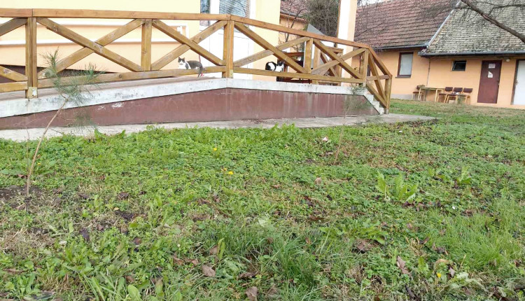 IMG 06