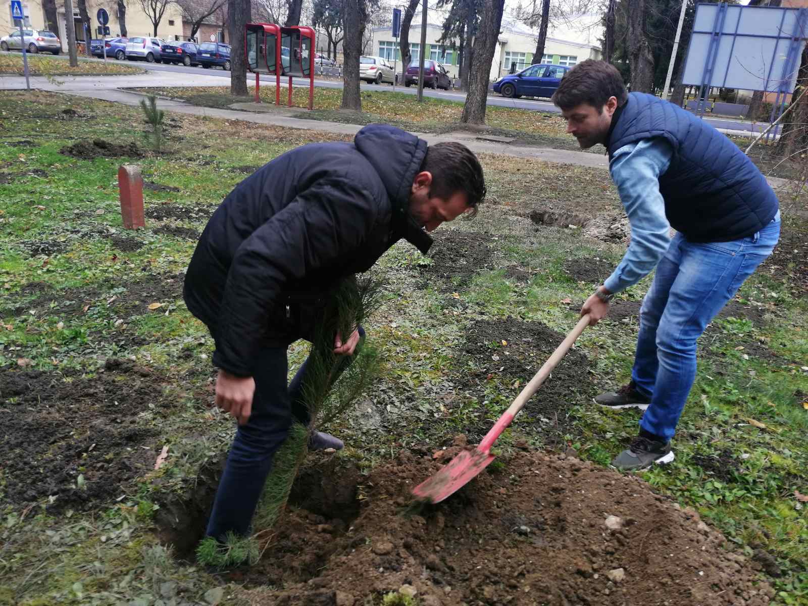 "NEDELJA ZA ZELENIJU VOJVODINU": Ozelenjavanje Opštine Nova Crnja 5 IMG 6606914d75ac94ea917e99a3b78b1ecc V