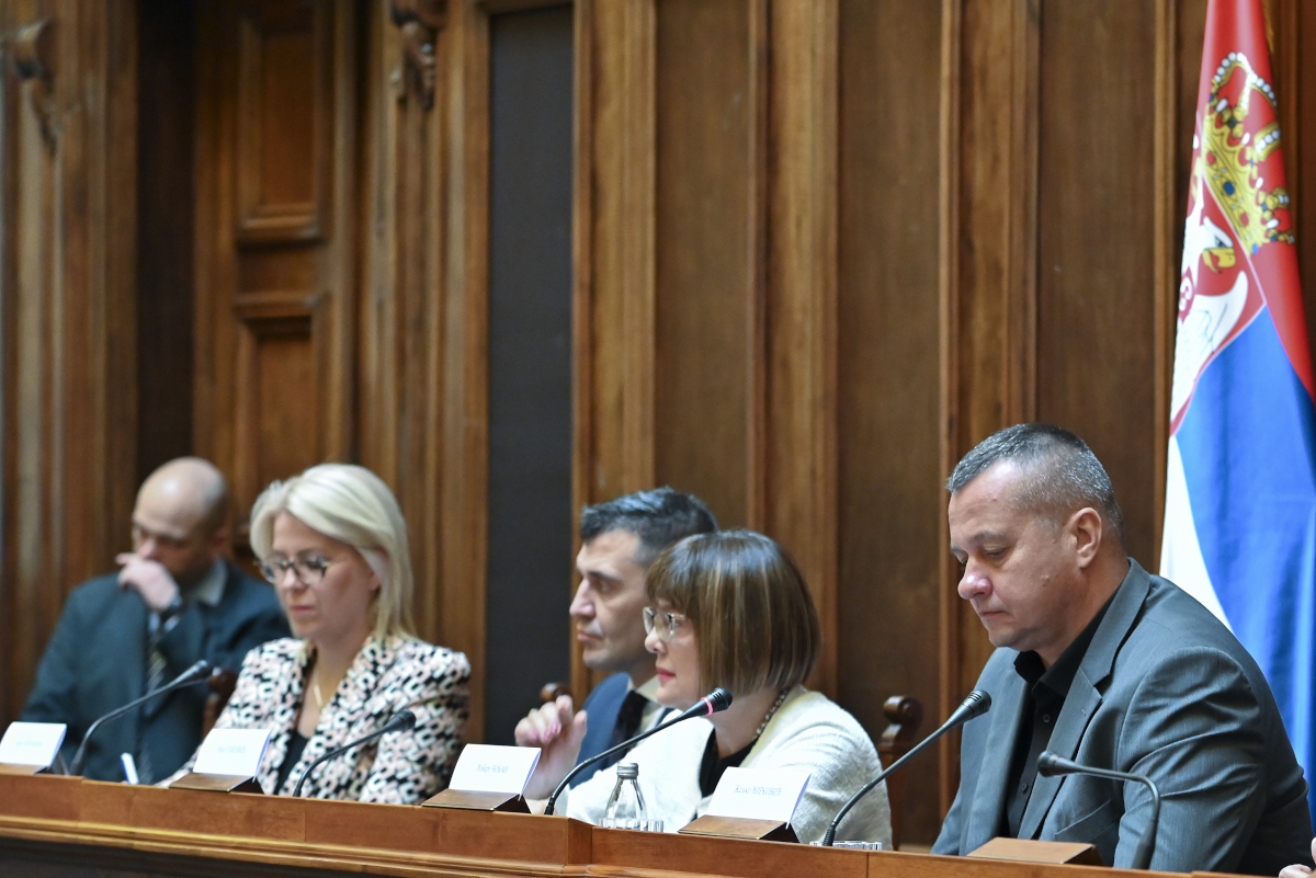 PRISTUPAČNA BUDUĆNOST: Maja Gojković - Ključni problemi osoba sa invaliditetom isključenost iz društva i nezaposlenost 3 Pristupačna budućnost 48