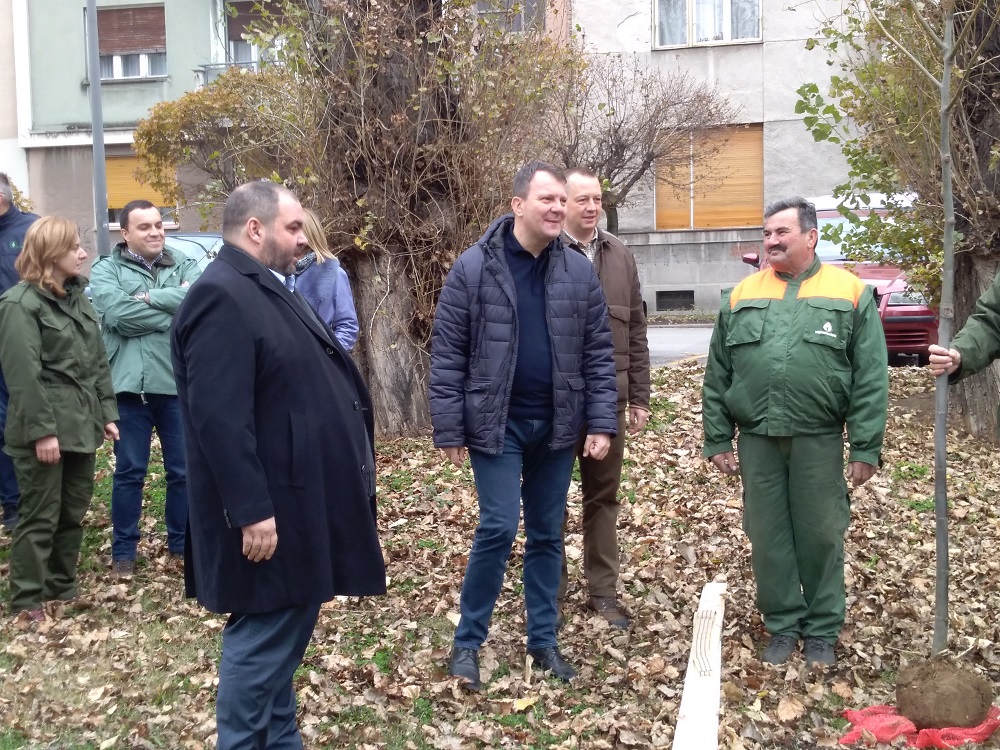 POČELA "NEDELJA ZA ZELENIJU VOJVODINU": Sadi se 10.000 sadnica širom pokrajine! 1 Zelena nedelja u AP Vojvodini1