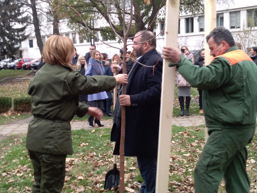 POČELA "NEDELJA ZA ZELENIJU VOJVODINU": Sadi se 10.000 sadnica širom pokrajine! 2 Zelena nedelja u AP Vojvodini2