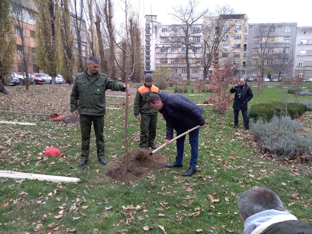 POČELA "NEDELJA ZA ZELENIJU VOJVODINU": Sadi se 10.000 sadnica širom pokrajine! 3 Zelena nedelja u AP Vojvodini5