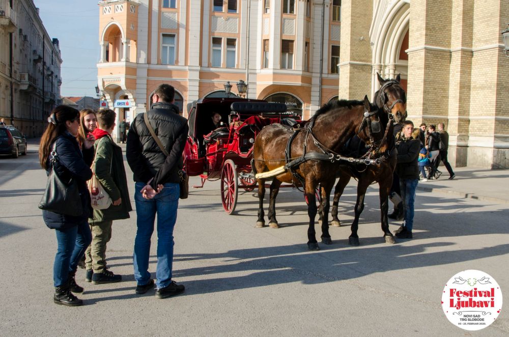 Nedeljno popodne na "Festivalu ljubavi" obeležili kviz za parove i bend "Bubamare" 2 3 DSC 8357