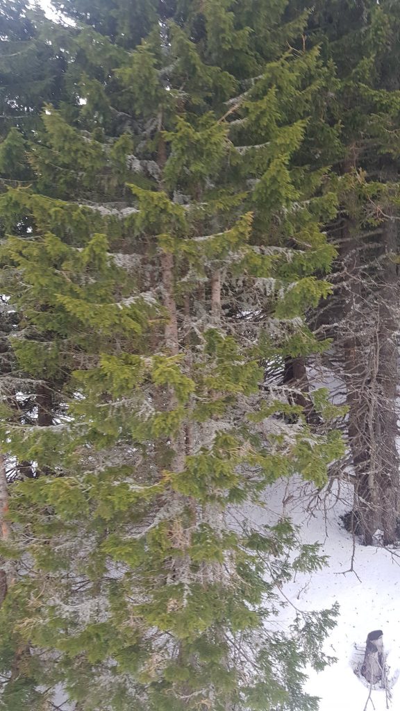 kopaonik 2