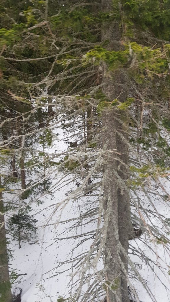 kopaonik 3
