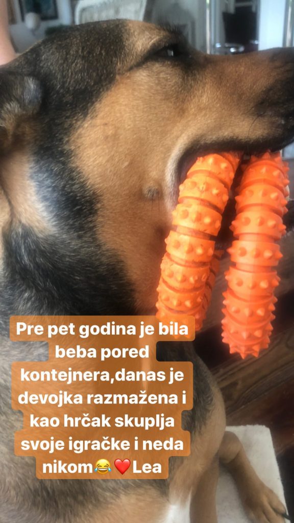 InstaStories B aJecpn9 z
