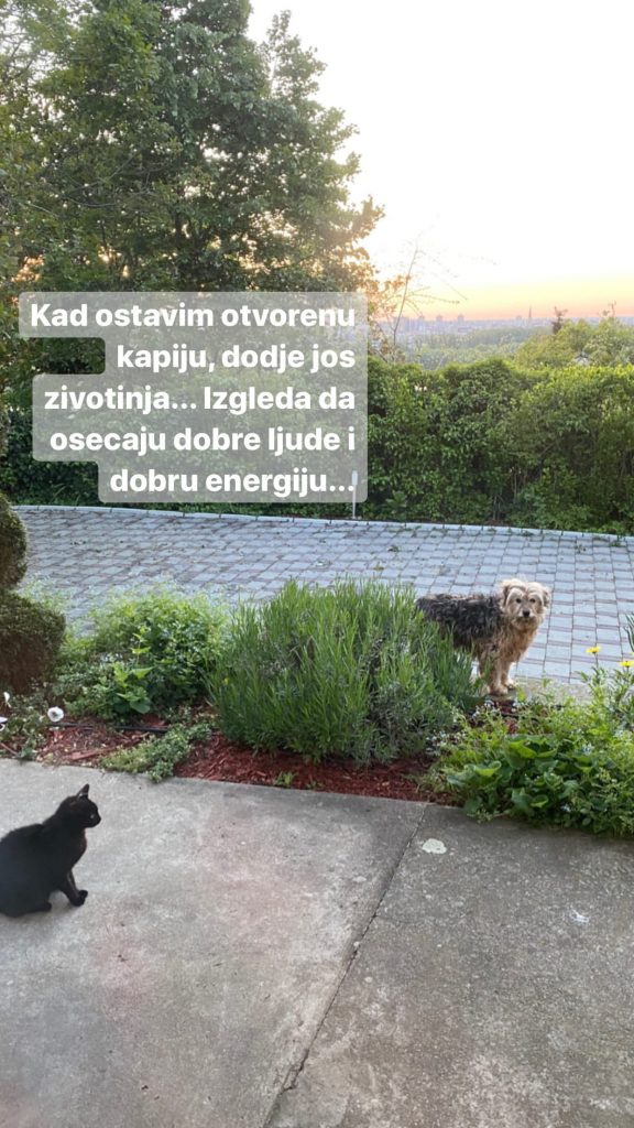 InstaStories B vBUvTgF9j