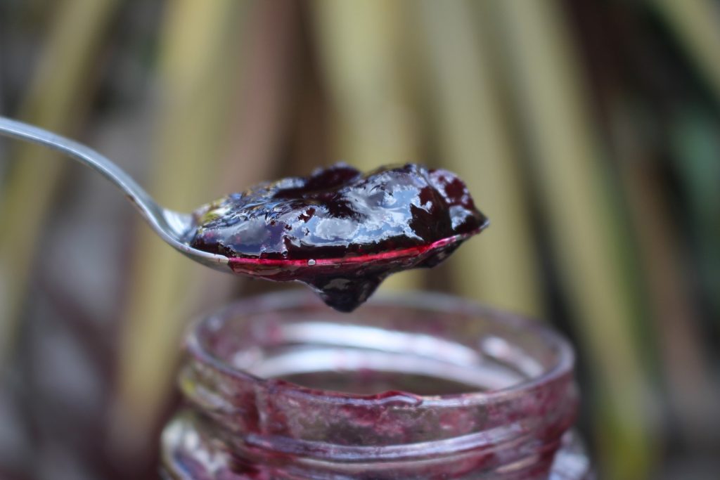 OČISTITE TELO OD TOKSINA: Bobičasto voće - izvor minerala, vitamina i enzima 1 dzem