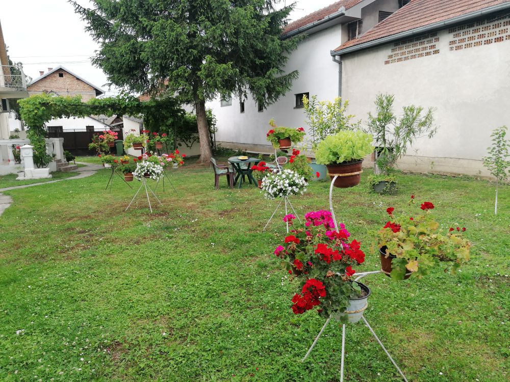 “Najlepša bašta Novog Sada“: Oaza pored Dunava s pogledom na Frušku goru 2 17 5
