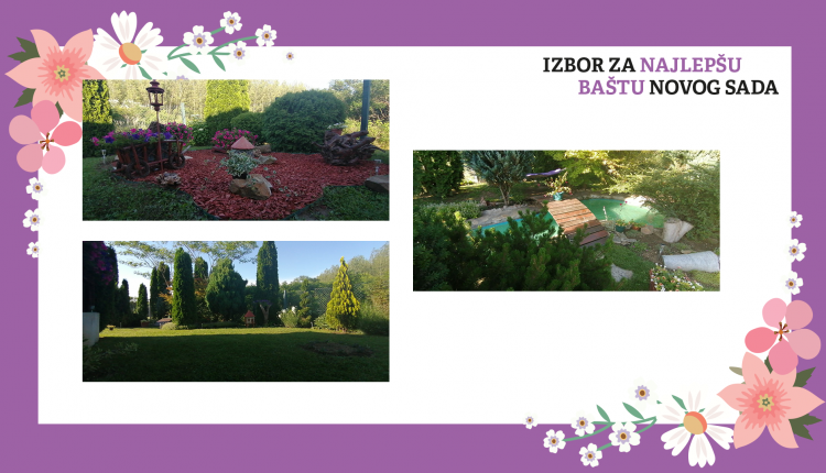 3. mesto