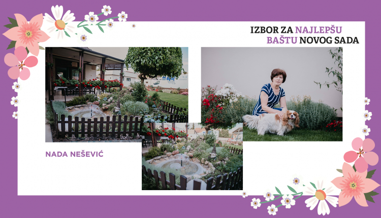 5. mesto Nada nesevic