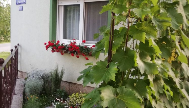 IMG 20200614 194648