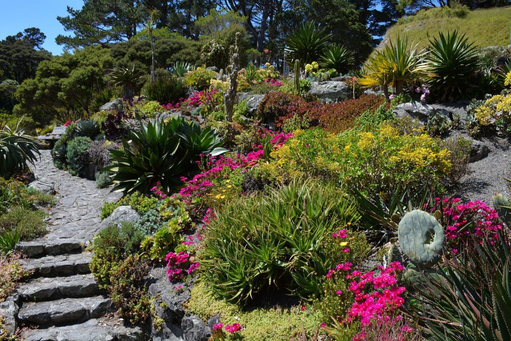 botanical garden 1123939 1920