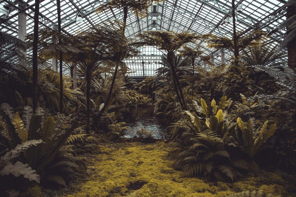 conservatory 4161955 1920
