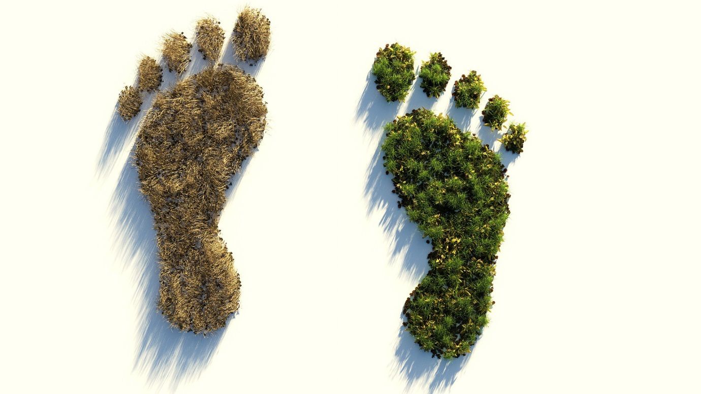 foot green