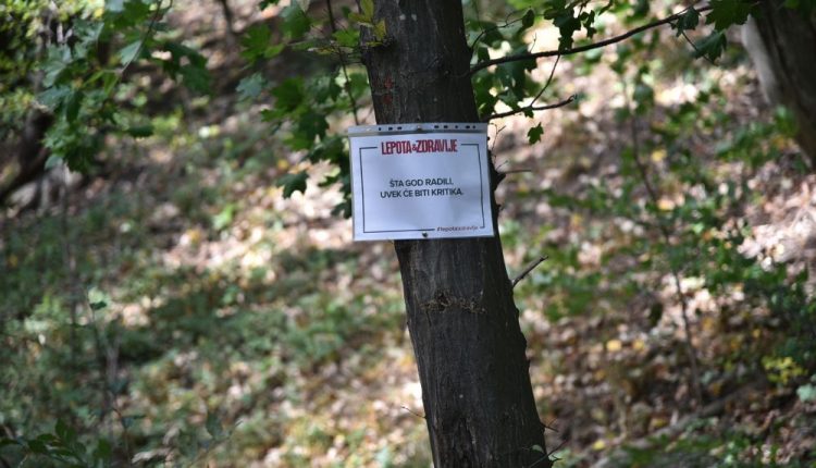 96.DSC 2173