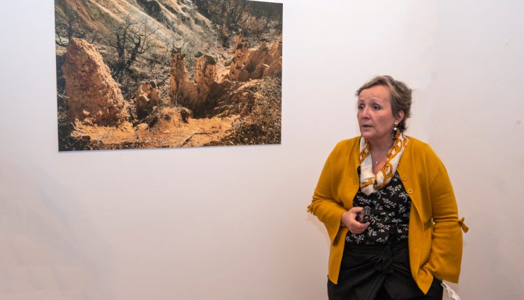 Tamara Ognjenović predavanje 32