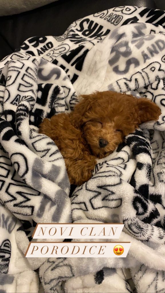 InstaStories CIJP9m1n1bK