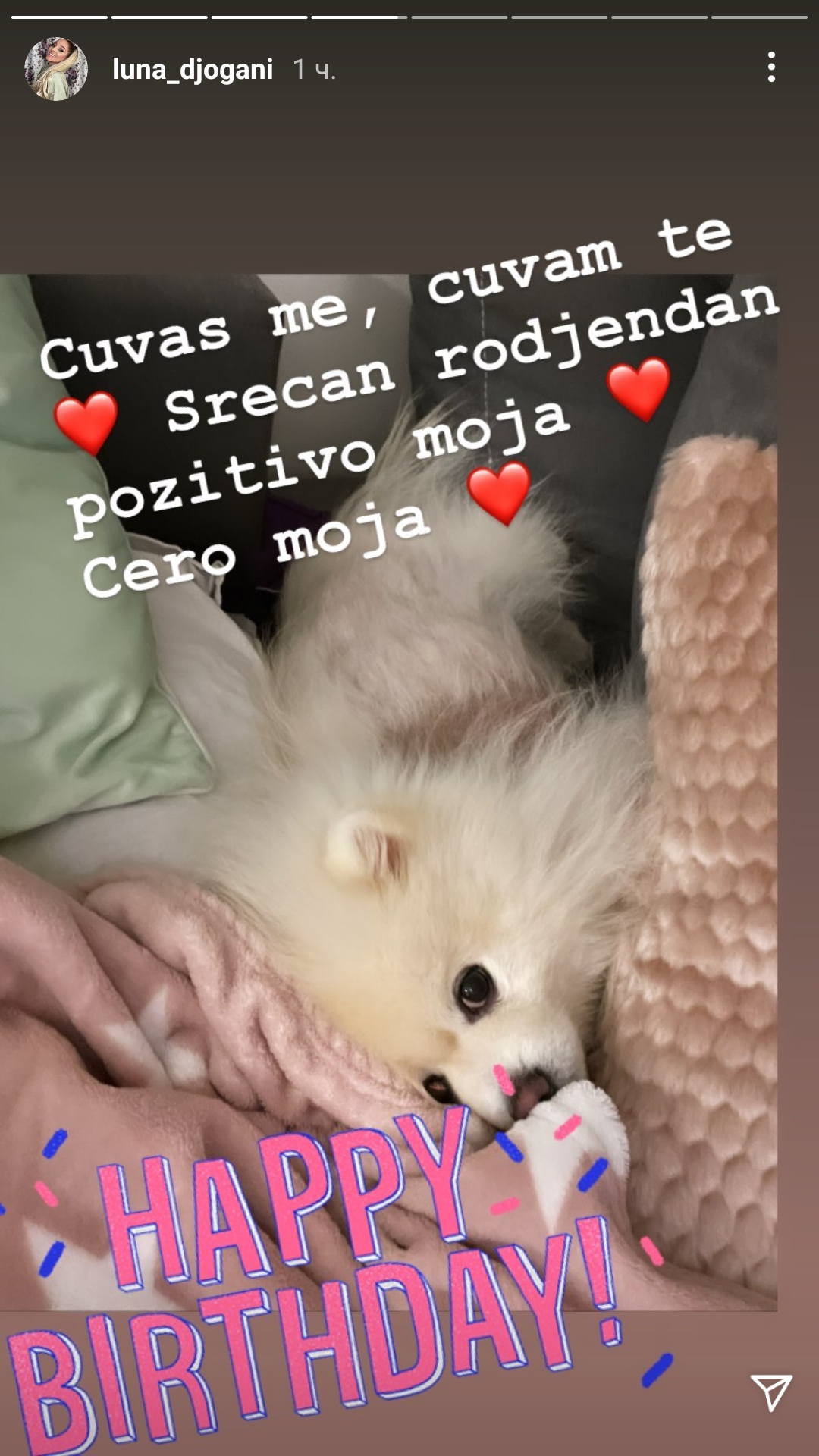ČUVAŠ ME, ČUVAM TE: Luna Đogani proslavila 5. rođendan svog psa (FOTO) 4 Luna Djogani pas 4