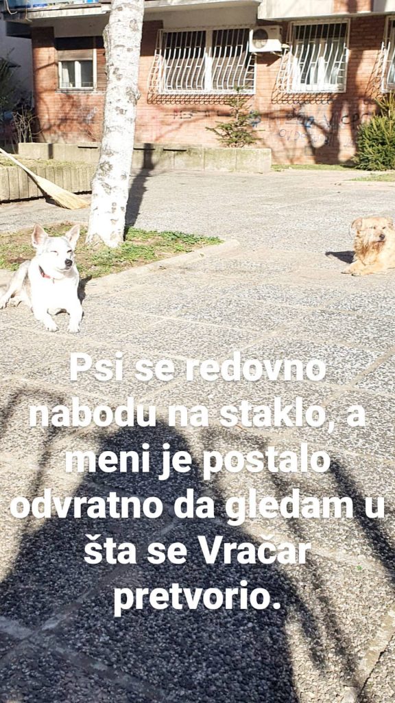 InstaStories CKbRdlxlvCm