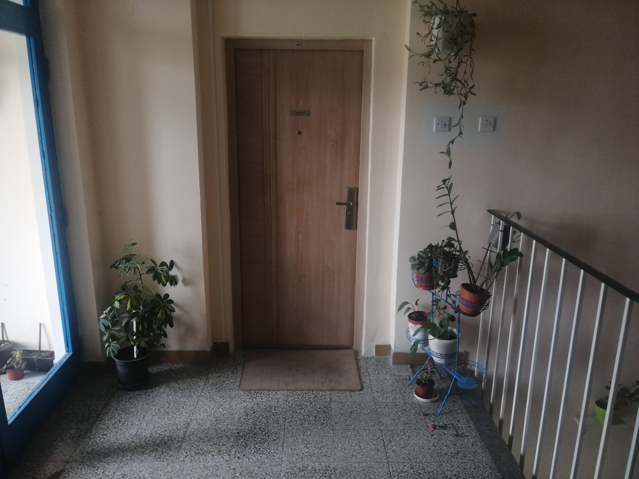 “Najlepša bašta Novog Sada“: Šarenilo i zelenilo i u hodniku zgrade 1 IMG 20210507 112927 scaled