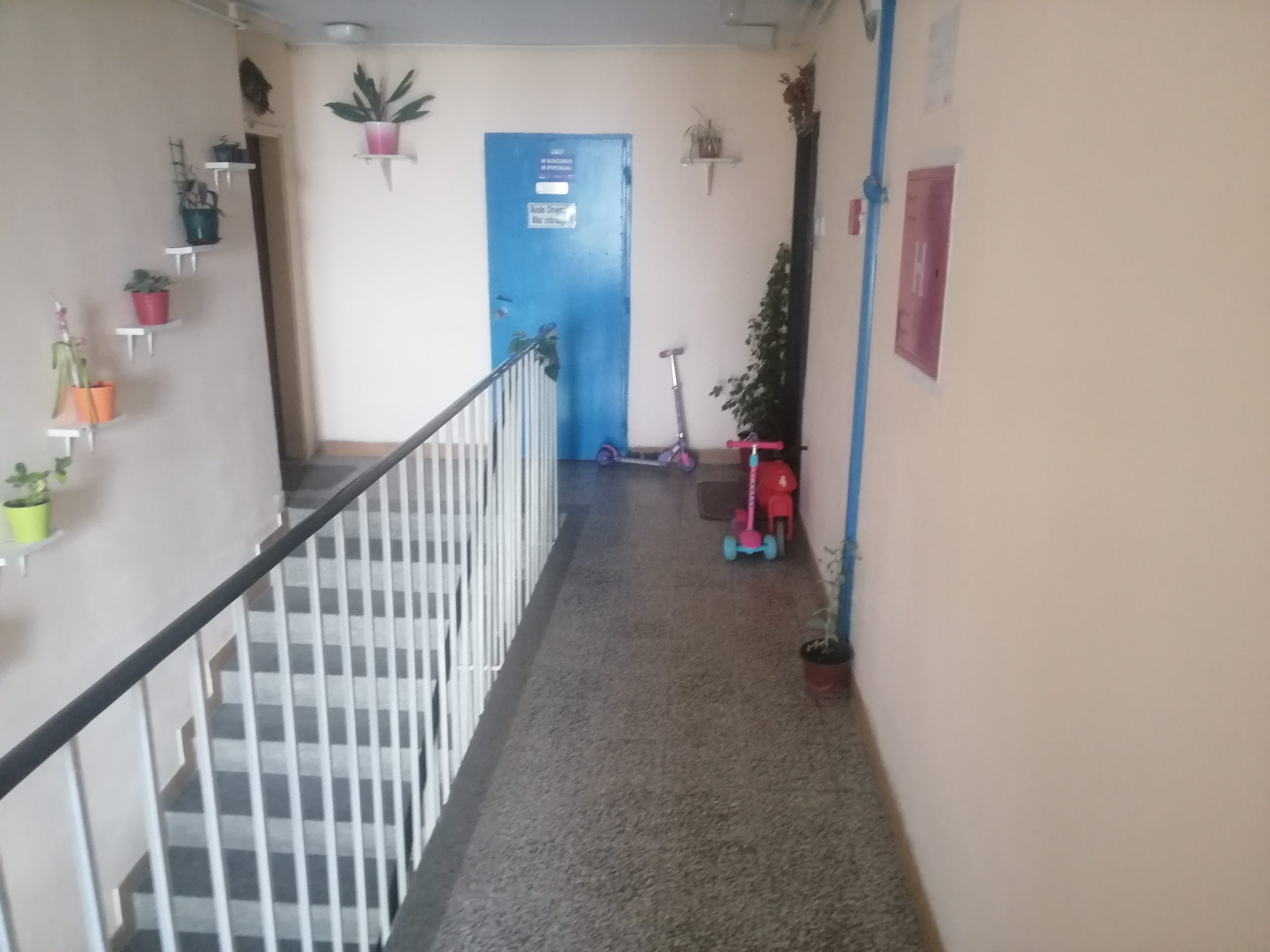 “Najlepša bašta Novog Sada“: Šarenilo i zelenilo i u hodniku zgrade 2 IMG 20210507 112938 scaled
