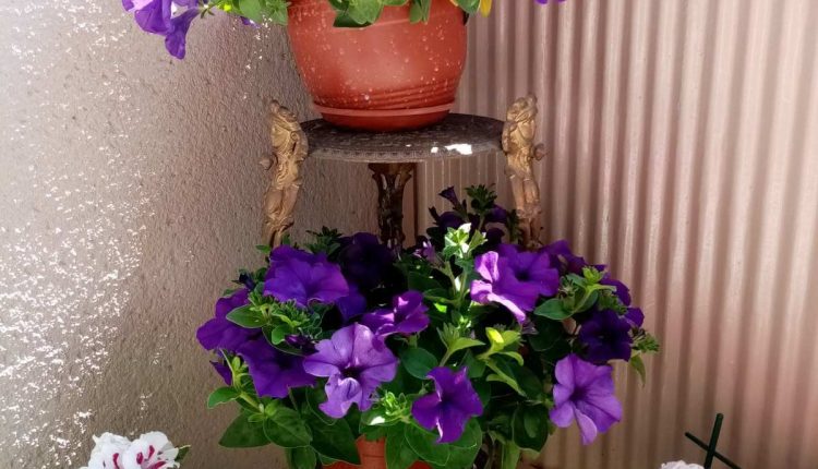 IMG dd3d20959532c8751aa20f78d2f9b9d5 V