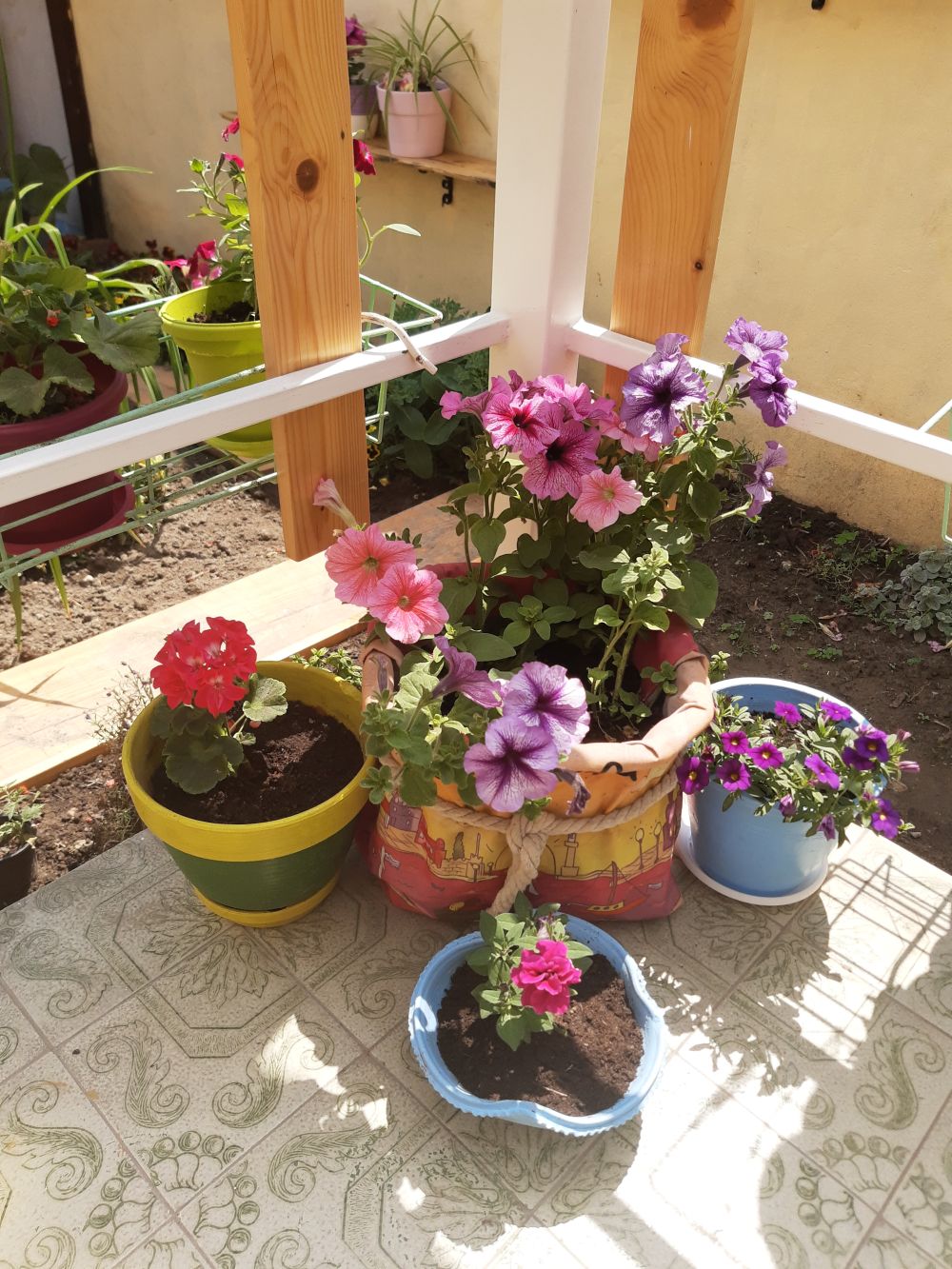 IMG 20210611 113209440